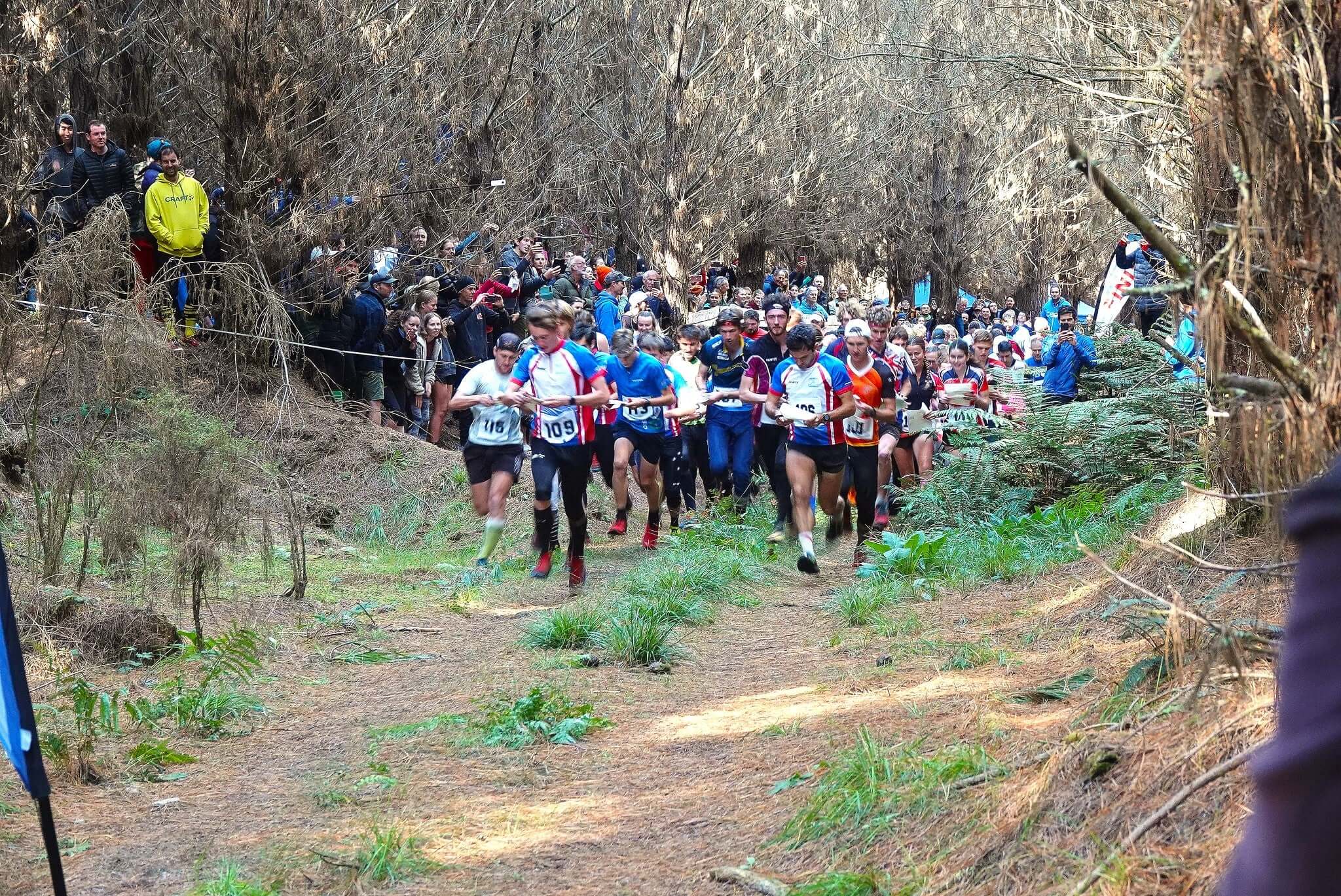 Photo of orienteers starting relay in a forest